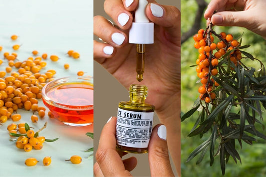 Sea buckthorn berries and oil rich in antioxidants for natural skincare benefits