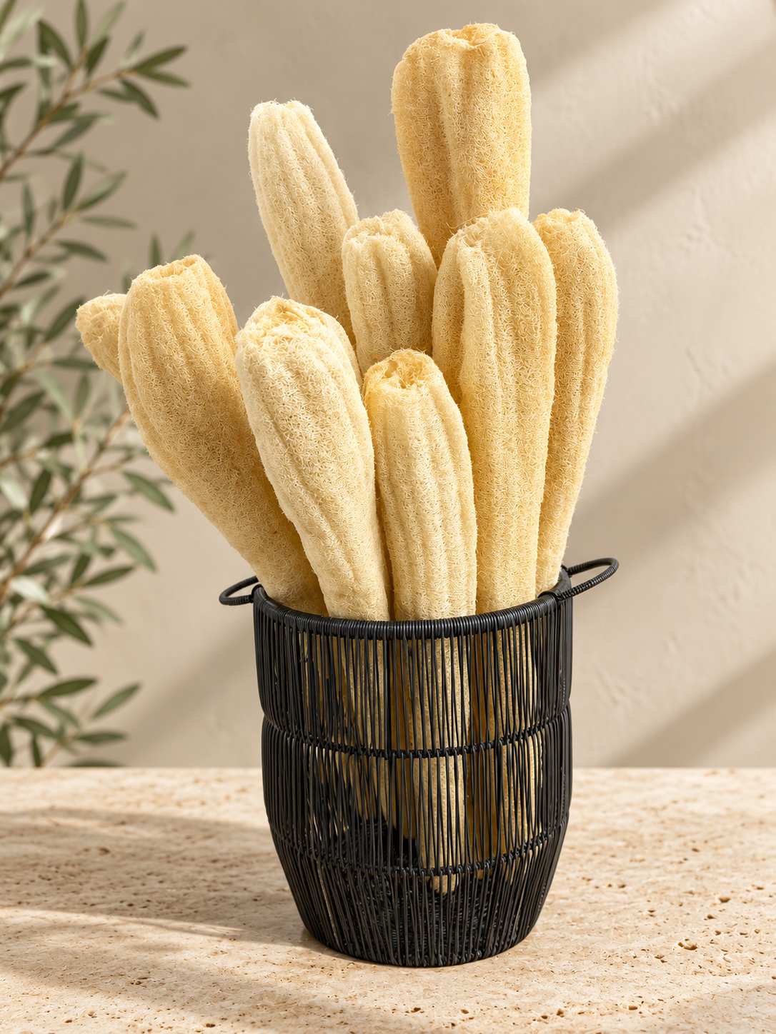 Natural Loofah Sponge (whole)
