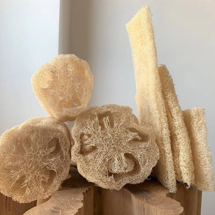 Natural Sea Sponge for Cleaning and Painting, Sage Restoration