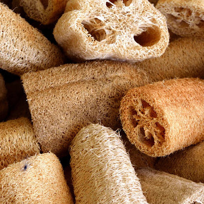 Natural Loofah Sponge