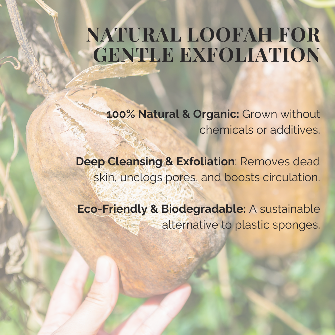 Sustainably harvested loofah, ideal for skincare and household use