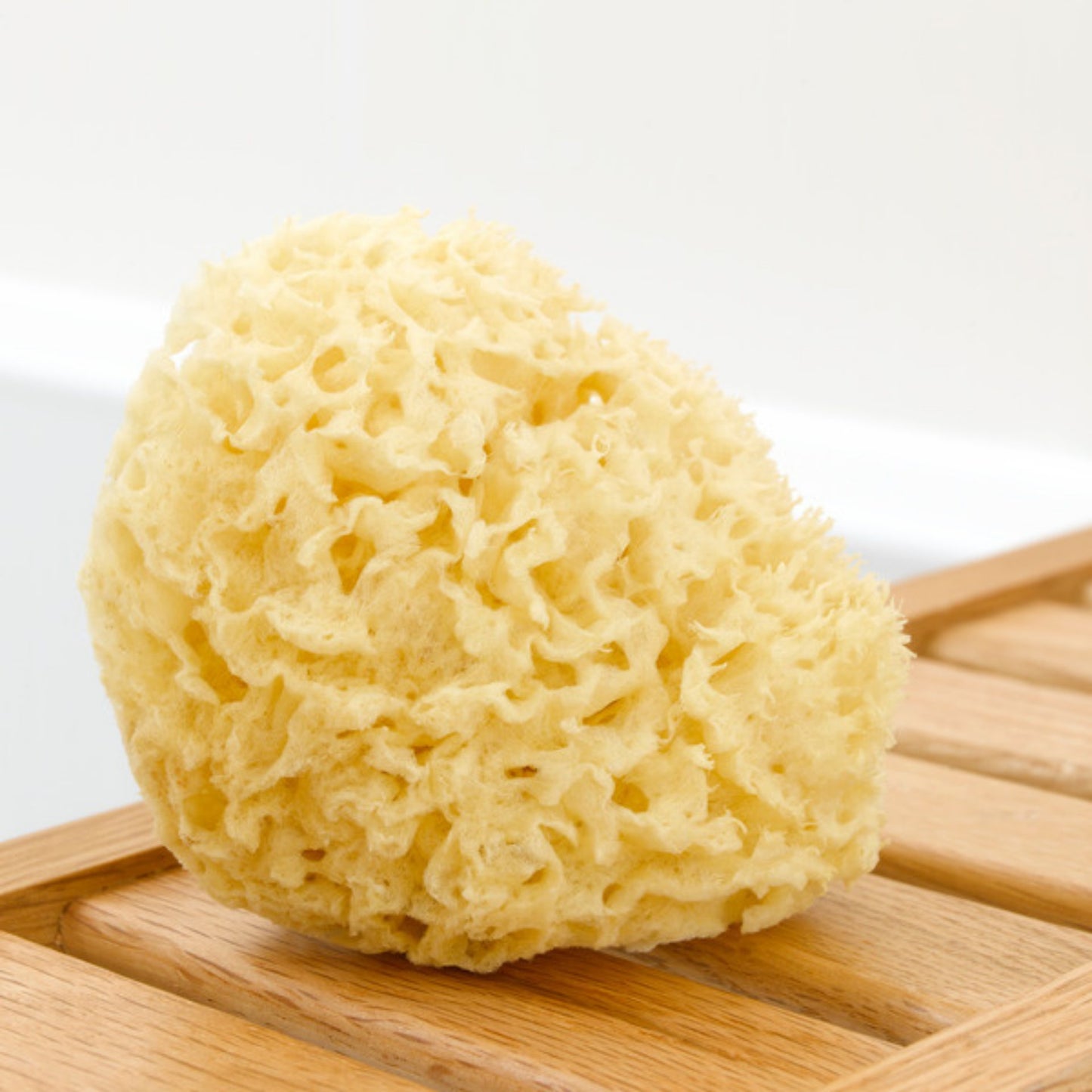 Ethically harvested sea sponge with soap for gentle exfoliation